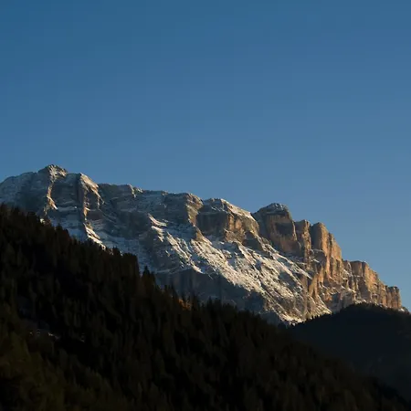 Piculin Alpin Apartments-3